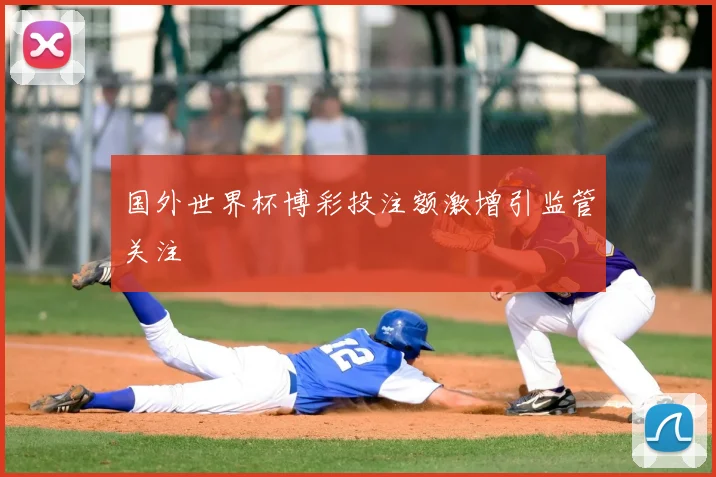 国外世界杯博彩投注额激增引监管关注