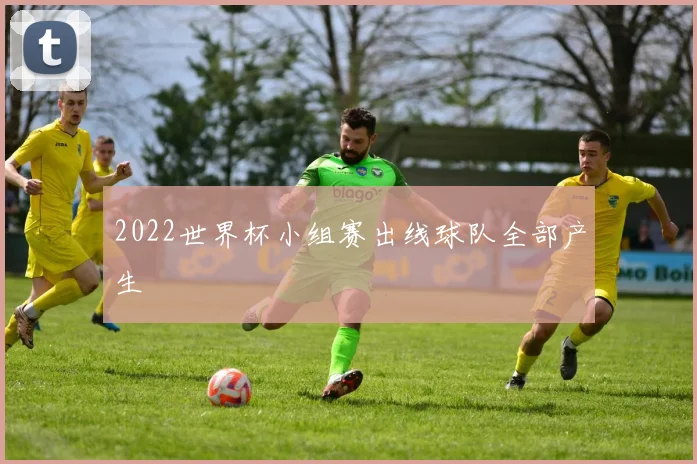 2022世界杯小组赛出线球队全部产生