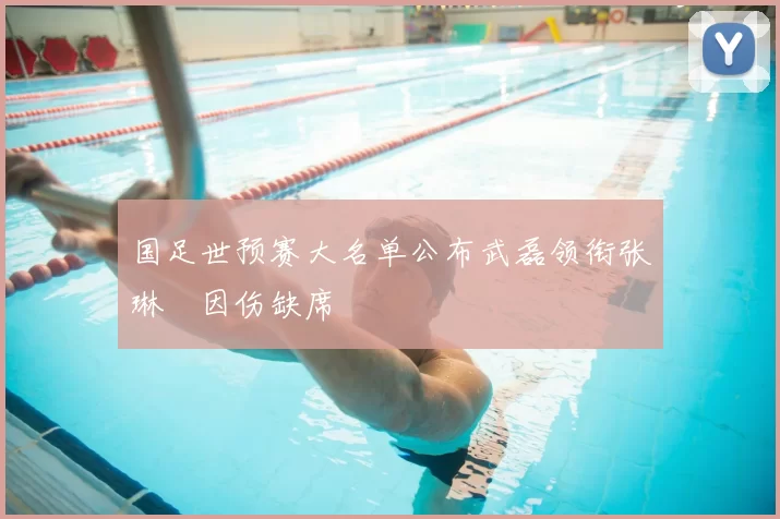 国足世预赛大名单公布武磊领衔张琳芃因伤缺席