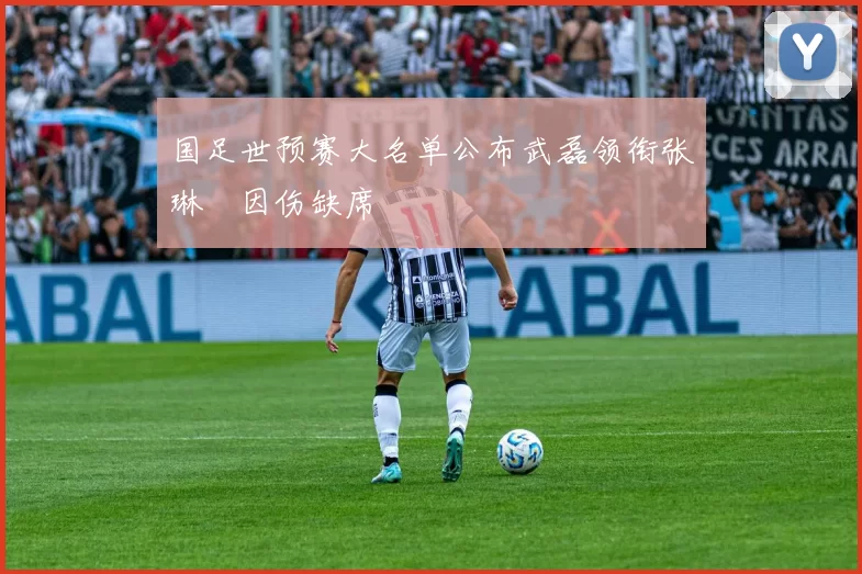 国足世预赛大名单公布武磊领衔张琳芃因伤缺席