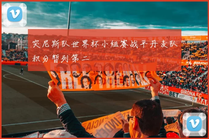 突尼斯队世界杯小组赛战平丹麦队积分暂列第二