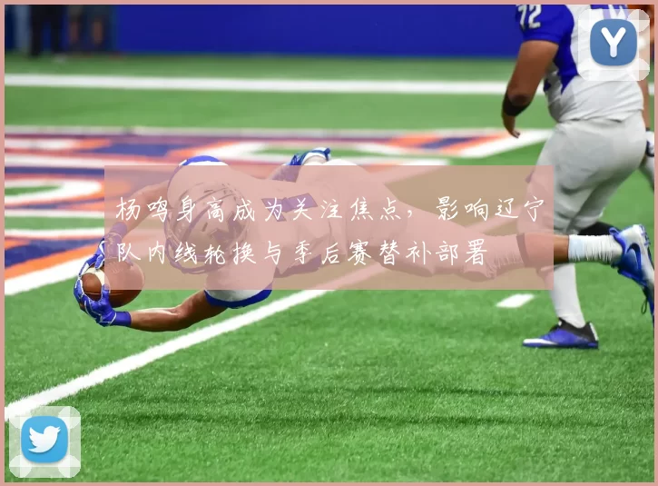 杨鸣身高成为关注焦点,影响辽宁队内线轮换与季后赛替补部署