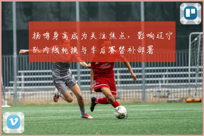 杨鸣身高成为关注焦点，影响辽宁队内线轮换与季后赛替补部署