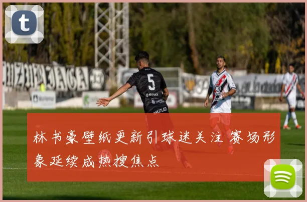 林书豪壁纸更新引球迷关注 赛场形象延续成热搜焦点