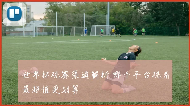 世界杯观赛渠道解析 哪个平台观看最超值更划算